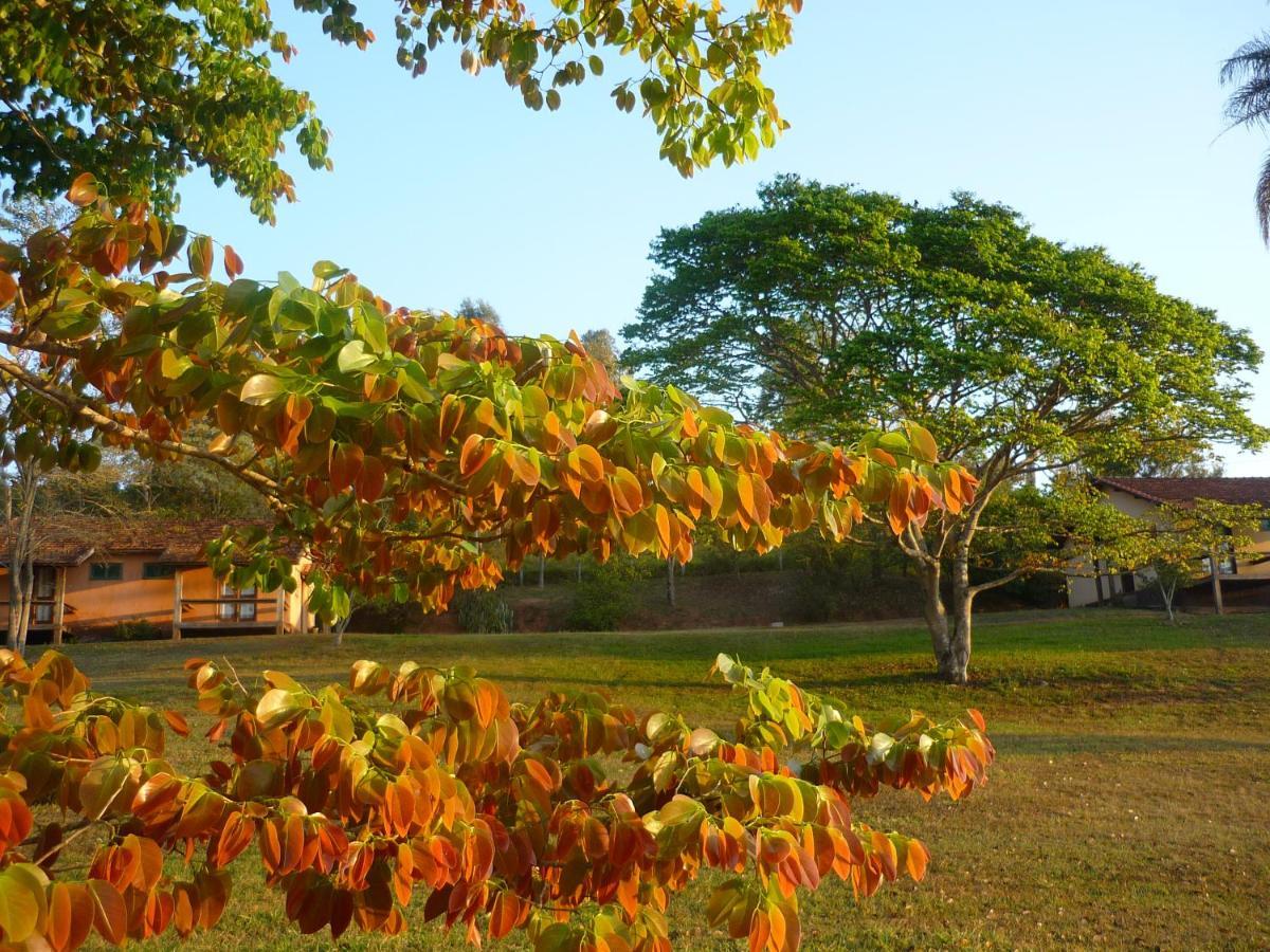 Porto Fazenda Hotel Alfenas Kültér fotó